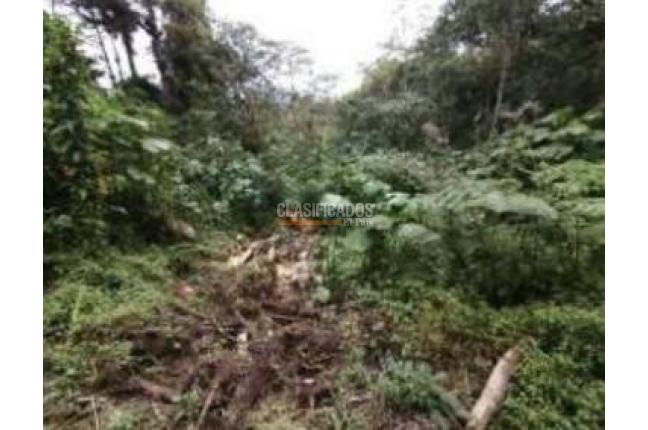 Fincas y Casas Campestres, Venta, Dagua - $1.781.307.173