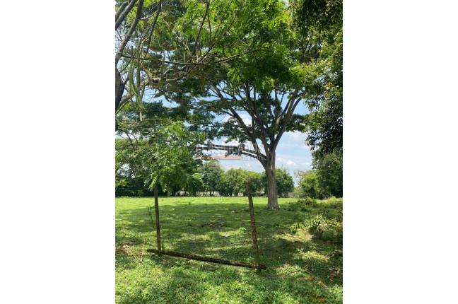 Lotes, Venta, Pance - $4.460.680.000