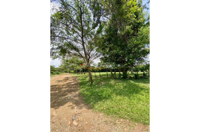 Lotes, Venta, Pance - $4.460.680.000