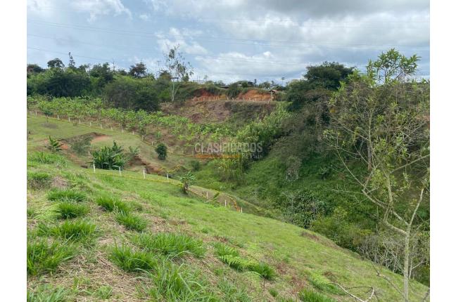 Lotes, Venta, Dagua - $130.000.000