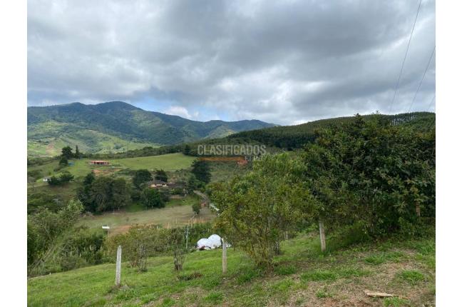 Lotes, Venta, Dagua - $130.000.000