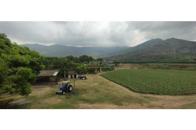 Fincas y Casas Campestres, Venta, Yumbo - $14.000.000.000