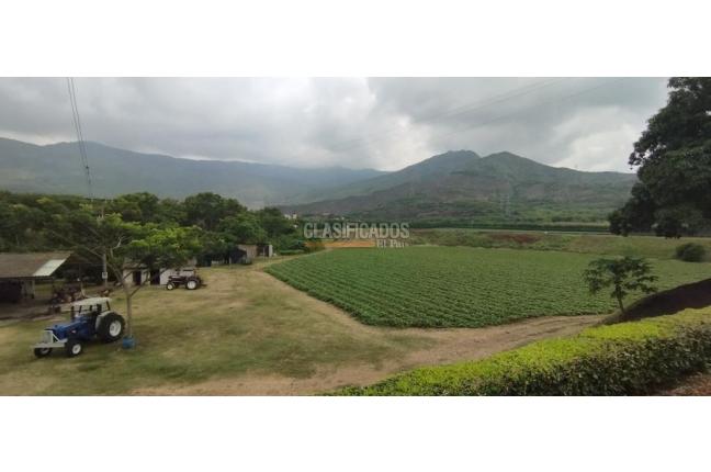 Fincas y Casas Campestres, Venta, Yumbo - $14.000.000.000