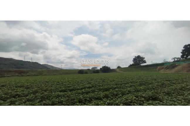 Fincas y Casas Campestres, Venta, Yumbo - $14.000.000.000