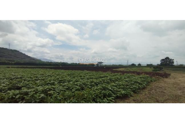 Fincas y Casas Campestres, Venta, Yumbo - $14.000.000.000