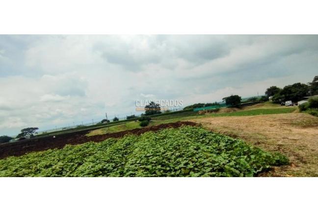 Fincas y Casas Campestres, Venta, Yumbo - $14.000.000.000