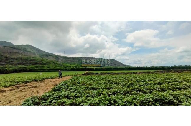 Fincas y Casas Campestres, Venta, Yumbo - $14.000.000.000