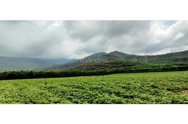 Fincas y Casas Campestres, Venta, Yumbo - $14.000.000.000