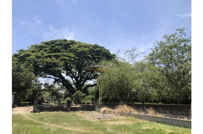 Lotes, Venta, Pance - $3.909.450.000