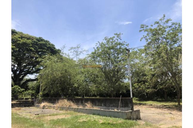 Lotes, Venta, Pance - $3.909.450.000