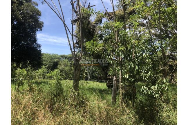 Lotes, Venta, Pance - $3.909.450.000