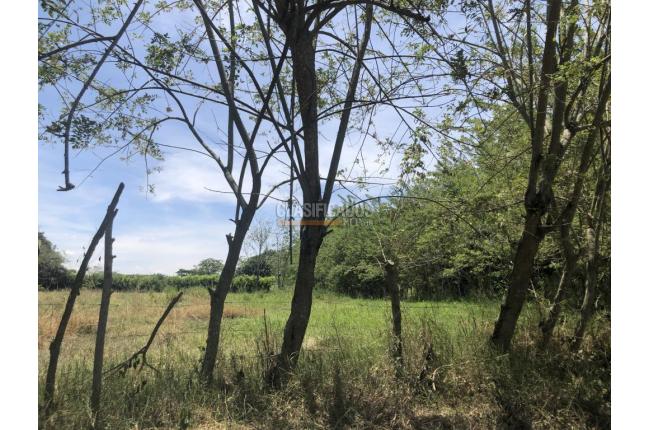 Lotes, Venta, Pance - $3.909.450.000