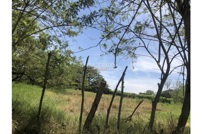 Lotes, Venta, Pance - $3.909.450.000