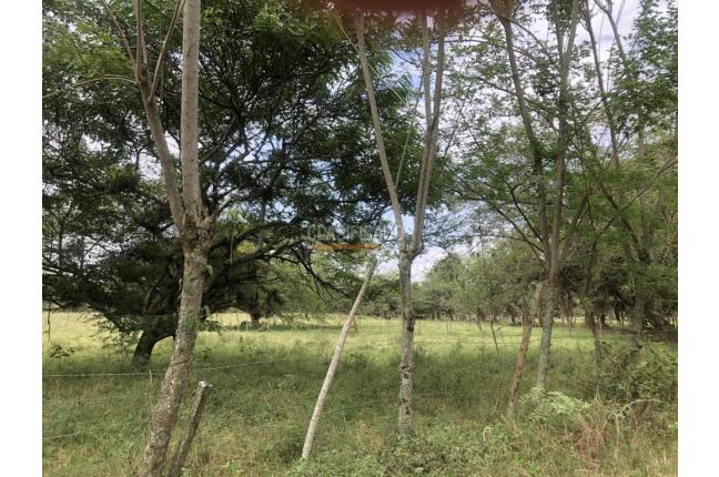 Lotes, Venta, Pance - $17.645.926.000