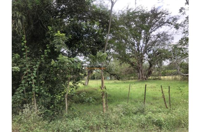 Lotes, Venta, Pance - $17.645.926.000