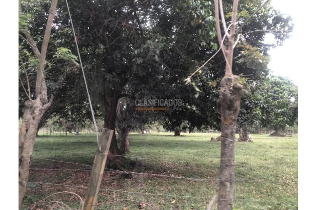 Lotes, Venta, Pance - $17.645.926.000