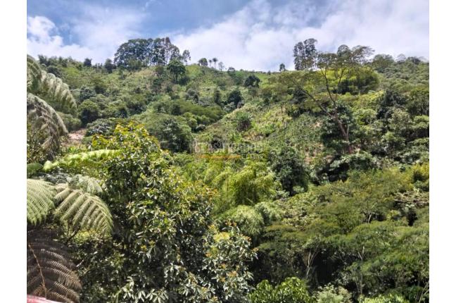 Fincas y Casas Campestres, Venta, Pereira - $2.500.000.000