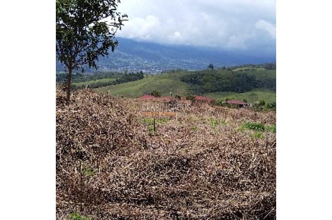 Lotes, Venta, Calima (Darién) - $900.000.000