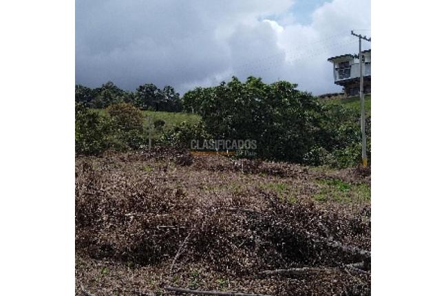 Lotes, Venta, Calima (Darién) - $900.000.000