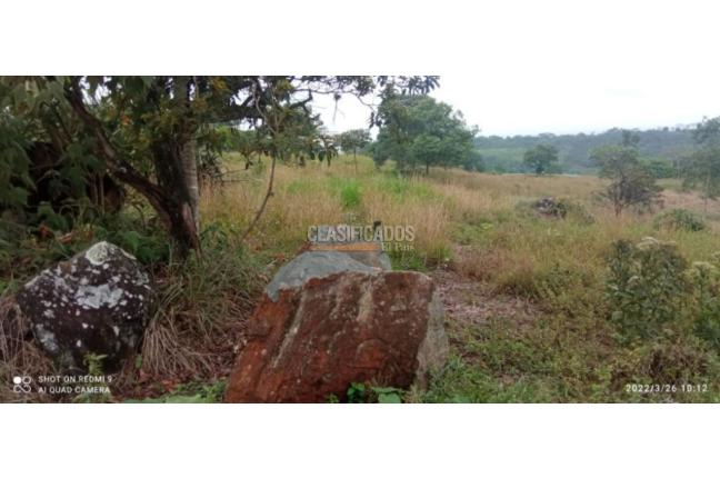 Lotes, Venta, Pance - $850.000.000