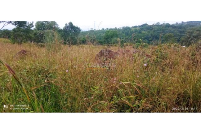 Lotes, Venta, Pance - $850.000.000