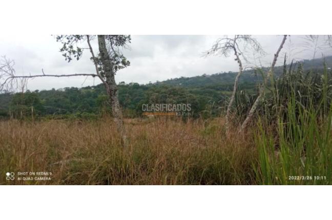 Lotes, Venta, Pance - $850.000.000