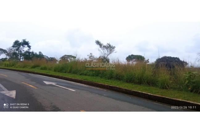 Lotes, Venta, Pance - $850.000.000