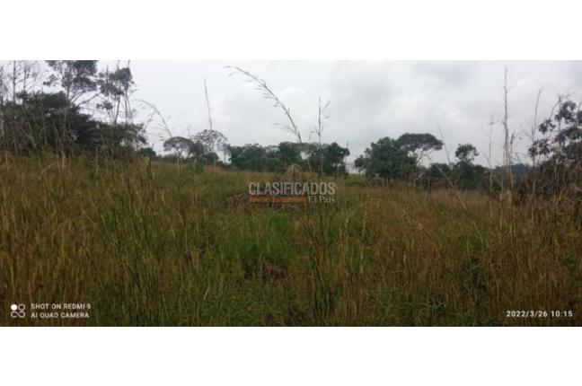 Lotes, Venta, Pance - $850.000.000