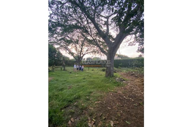 Casas, Venta, Pance - $6.439.791.000