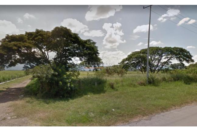 Lotes, Venta, Palmira - $6.660.000.000