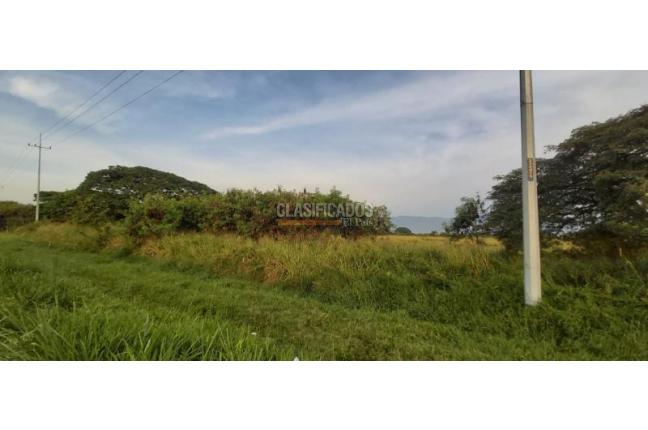 Lotes, Venta, Palmira - $6.660.000.000