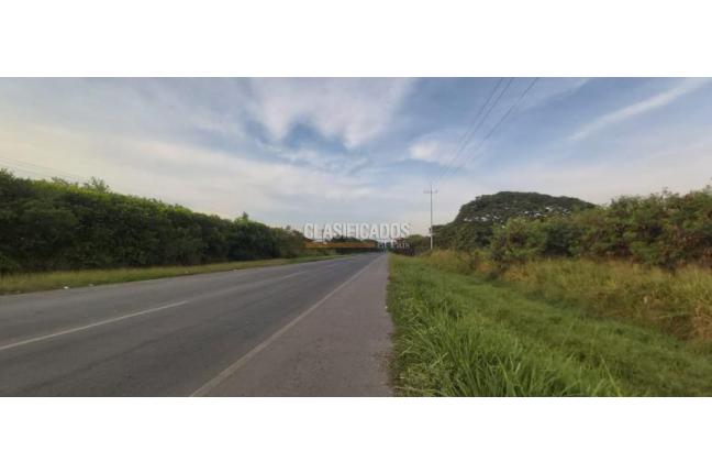 Lotes, Venta, Palmira - $6.660.000.000