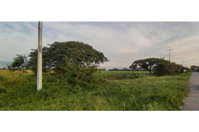 Lotes, Venta, Palmira - $6.660.000.000