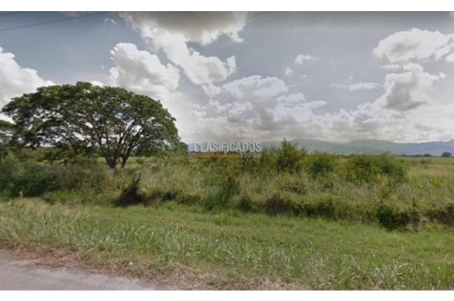 Lotes, Venta, Palmira - $6.660.000.000