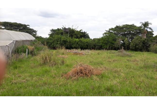 Lotes, Venta, Ginebra - $330.000.000