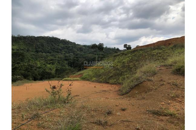 Lotes, Venta, Pance - $1.560.000.000