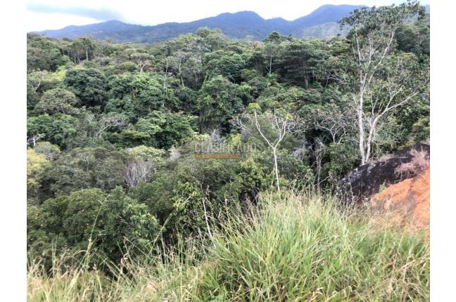 Lotes, Venta, Pance - $1.560.000.000