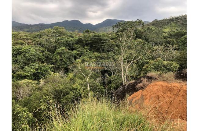 Lotes, Venta, Pance - $1.560.000.000