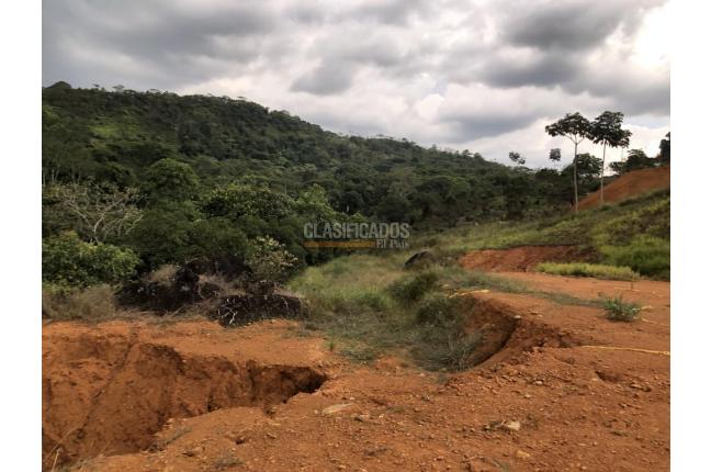 Lotes, Venta, Pance - $1.560.000.000