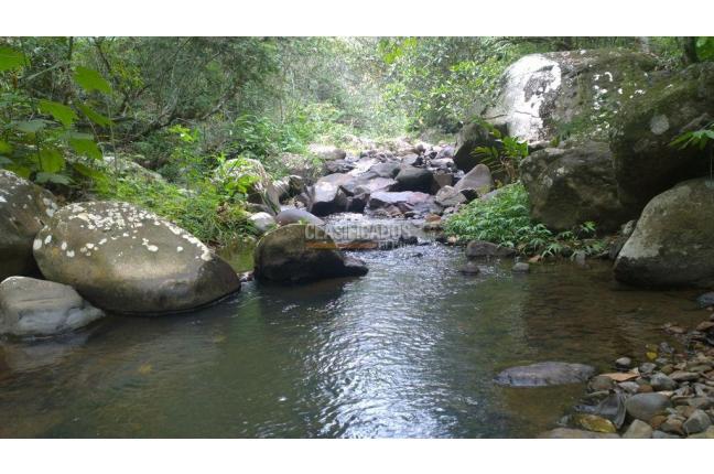 Lotes, Venta, Pance - $1.560.000.000