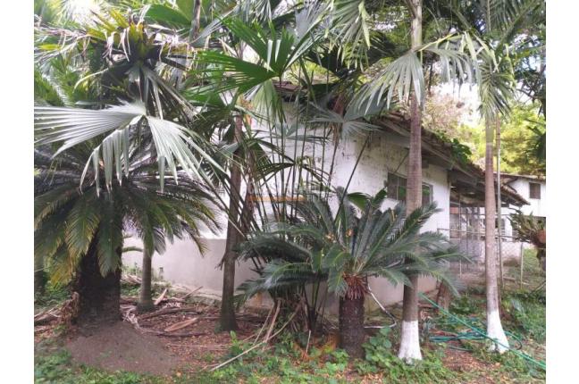 Fincas y Casas Campestres, Venta, Yotoco - $3.000.000.000