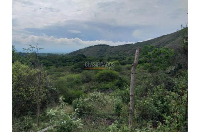 Fincas y Casas Campestres, Venta, Yotoco - $3.000.000.000