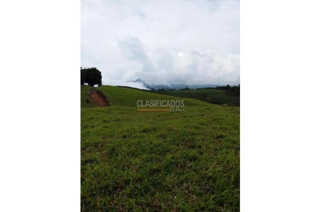 Lotes, Venta, Restrepo - $1.318.500.000