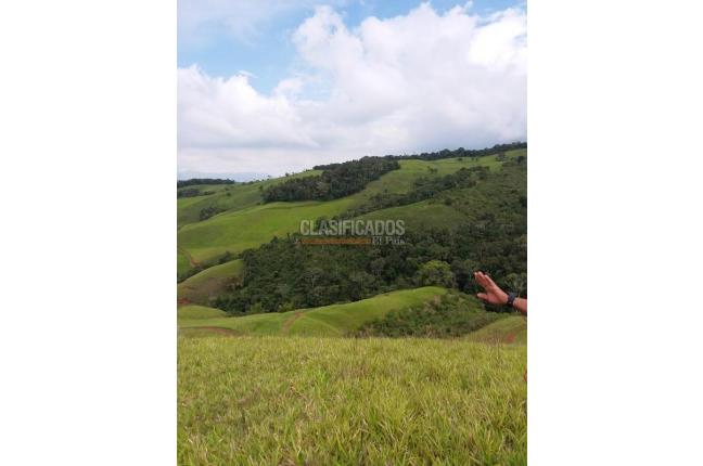 Lotes, Venta, Restrepo - $1.318.500.000