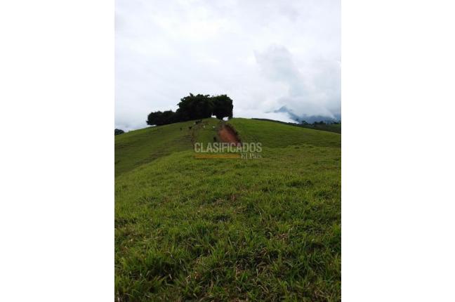 Lotes, Venta, Restrepo - $1.318.500.000