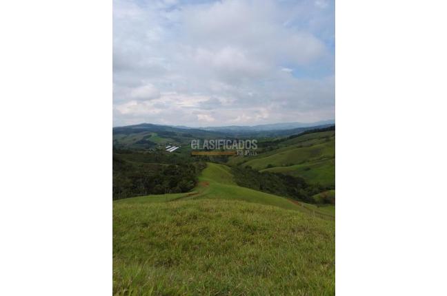 Lotes, Venta, Restrepo - $1.318.500.000