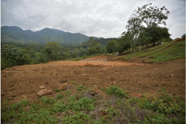 Lotes, Venta, Pance - $890.000.000