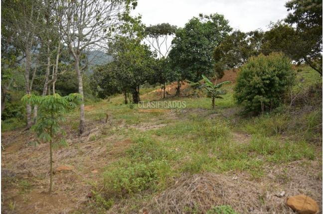 Lotes, Venta, Pance - $890.000.000
