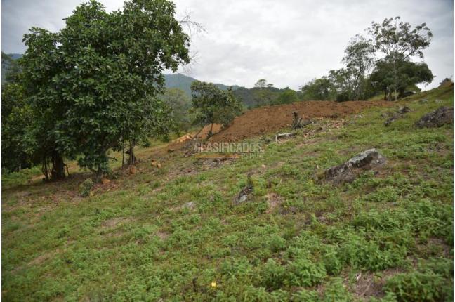 Lotes, Venta, Pance - $890.000.000