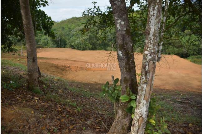 Lotes, Venta, Pance - $890.000.000